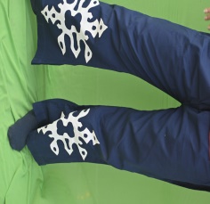 Palazo Pant